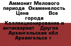 Аммонит Мелового периода. Окаменелость. › Цена ­ 2 800 - Все города Коллекционирование и антиквариат » Другое   . Архангельская обл.,Архангельск г.